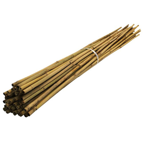 Bamboo Canes Urban Gardening Supplies